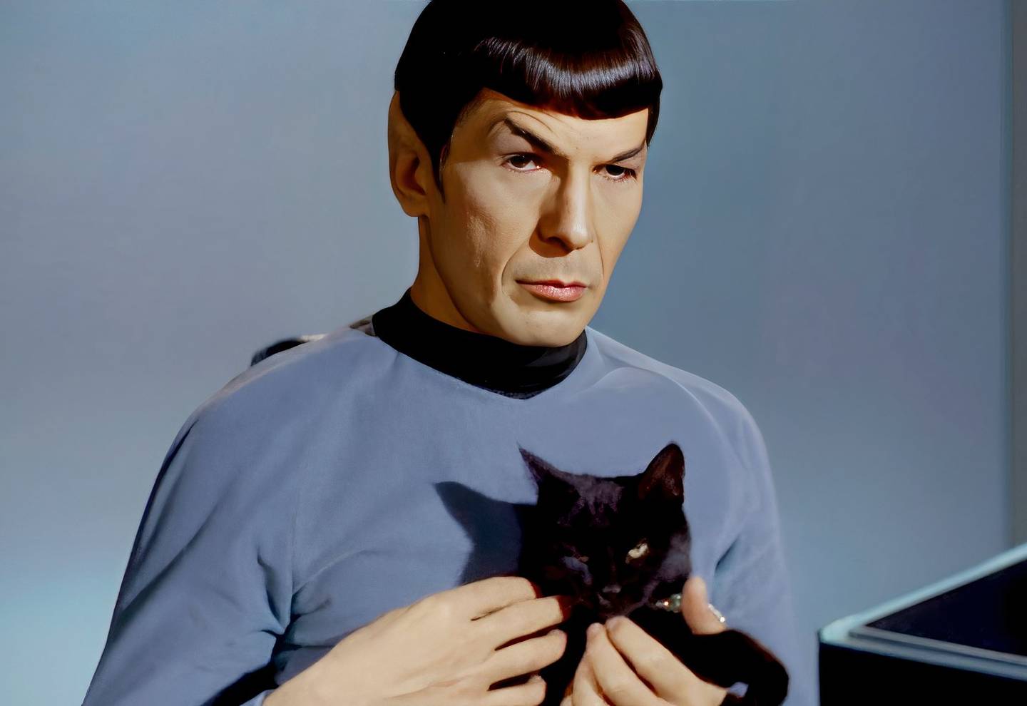 spock-cat.jpg